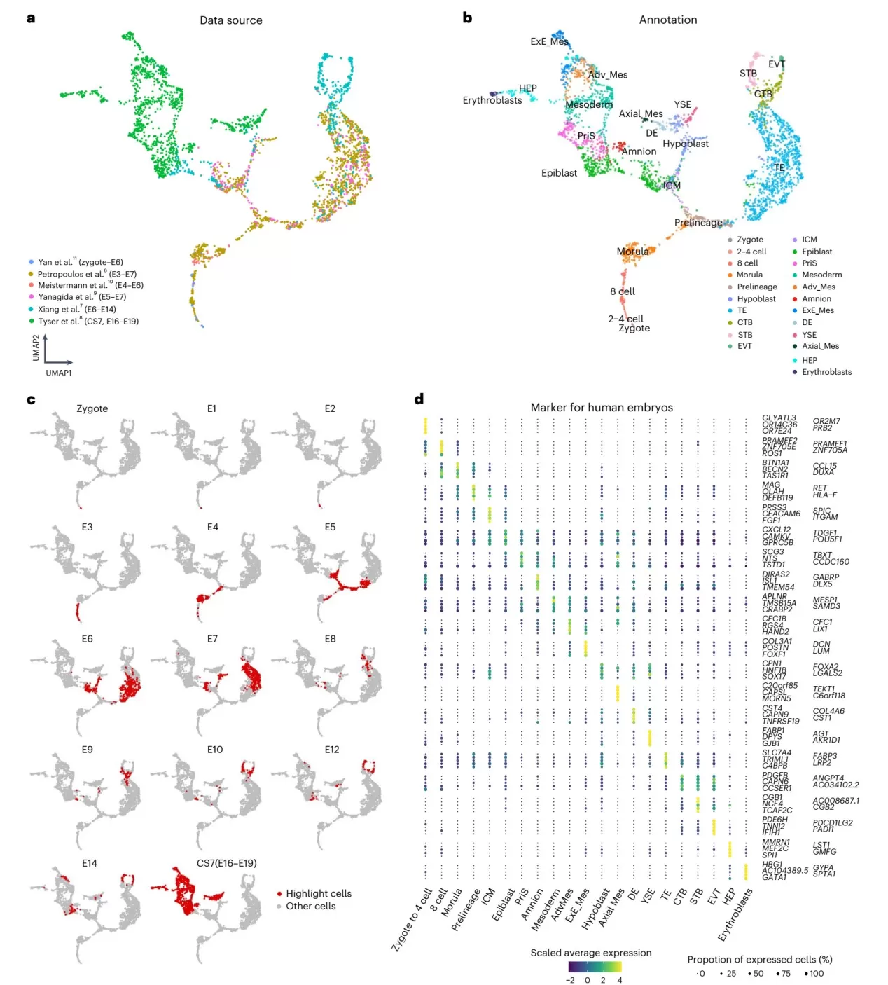 Integrated UMAP of six human embryo scRNA-seq datasets showing annotated lineages (ICM, epiblast, hypoblast, TE) and stage-specific marker genes.